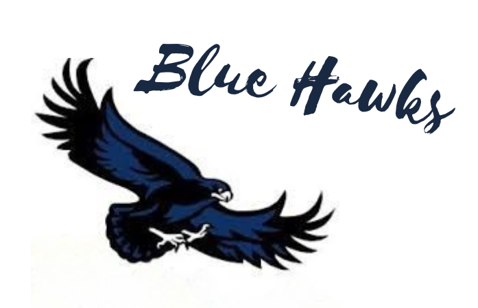   blue hawk